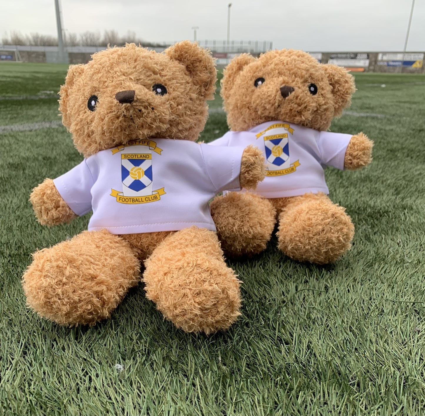 Little Bear : NEW STOCK